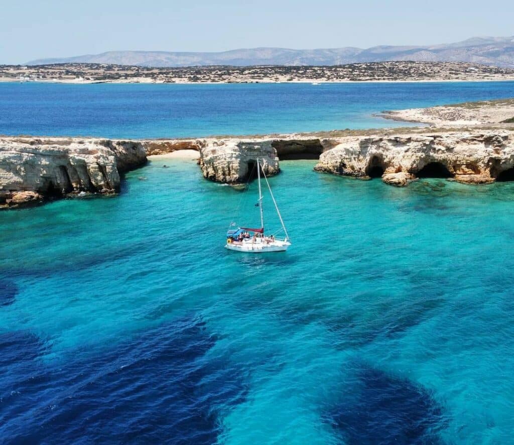 228978175_1239127879849536_3974213378987064856_n svg+xml;charset=utf